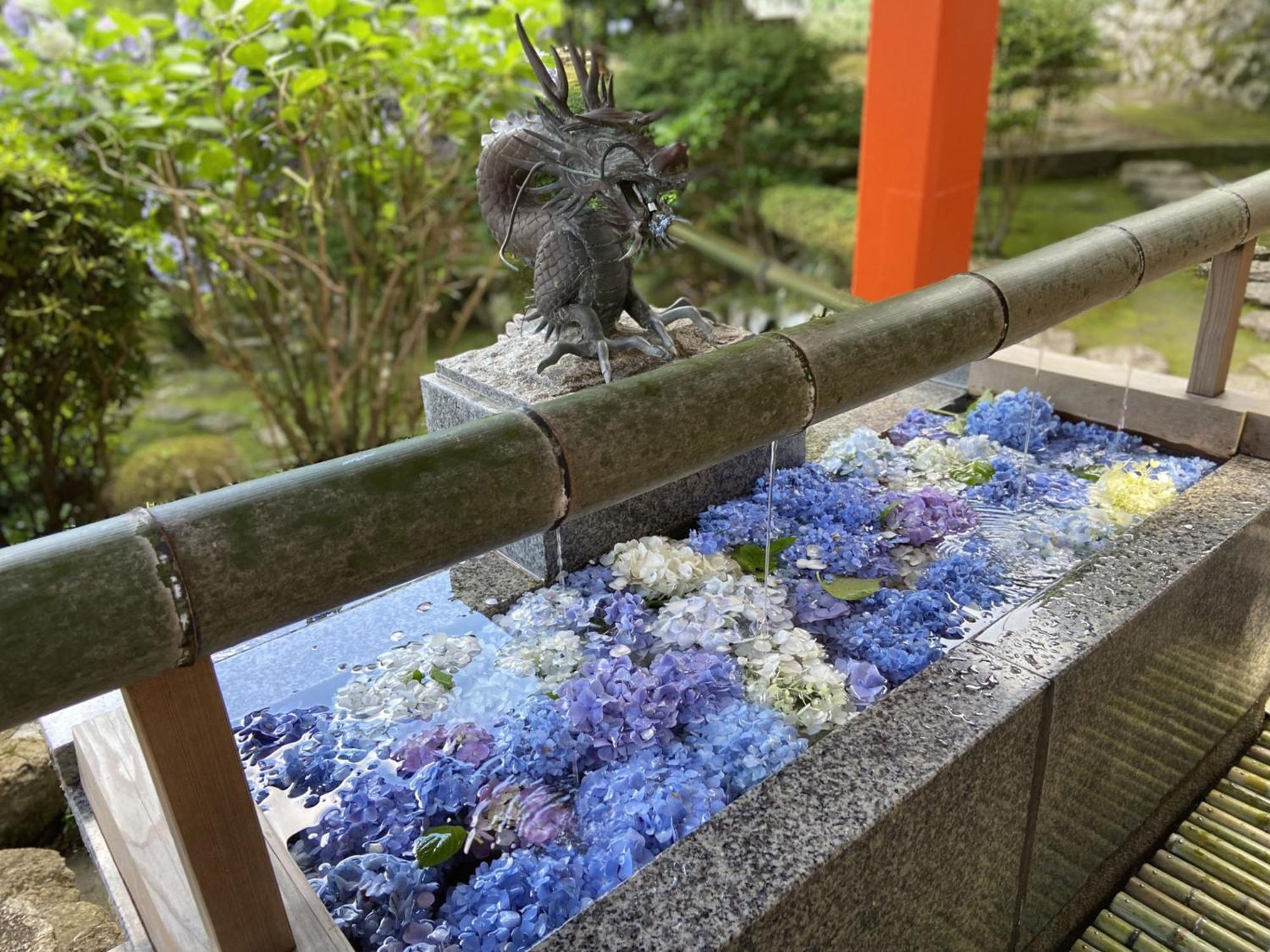 癒し宿 かぐら อพาร์ทเม้น คุชิโมโตะ